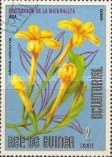 Jasminum auriculatum