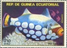 Clown Triggerfish (Balistoides conspicillum)
