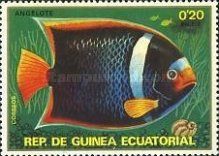 King Angelfish (Holacanthus passer)