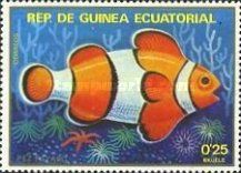 Clownfish (Amphiprion percula)