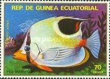 Saddle Butterflyfish (Chaetodon ephippium)