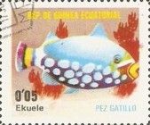 Clown Triggerfish (Balistoides conspicillum)