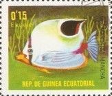 Saddle Butterflyfish (Chaetodon ephippium)