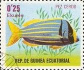Pez cerdo