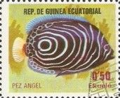 Pez angel - Emperor Angelfish (Pomacanthus imperator)