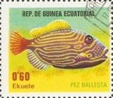 Orange-lined Triggerfish (Balistapus undulatus)