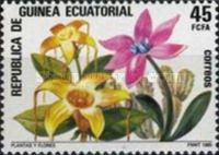 Plants and flowers