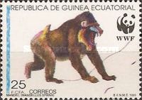 Mandrill (Mandrillus sphinx)