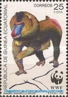 Mandrill (Mandrillus sphinx)