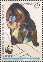 Mandrill (Mandrillus sphinx)