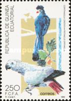 Great Blue Turaco (Corythaeola cristata), Grey Parrot (Psitt