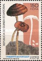 Termitomyces robustus