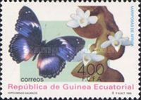 Blue Diadem (Hypolimnas salmacis)