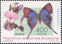 Common Fig-tree Blue (Myrina silenus)