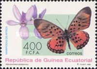 Boisduval’s False Acraea (Pseudacraea boisduvali)