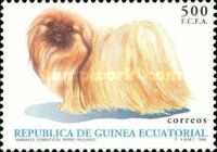 Pekingese Dog (Canis lupus familiaris)
