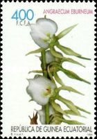 Angraecum eburneum