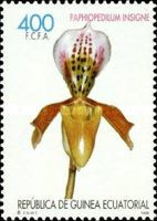 Paphiopedilum insigne
