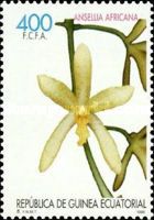 Ansellia africana