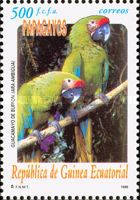 Great Green Macaw (Ara ambigua)