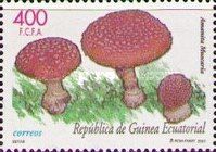 Amanita muscaria