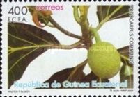 Artocarpus communis