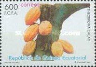 Theobroma cacao