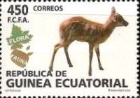 Sitatunga (Tragelaphus spekii)