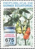 Capsicum frutescens