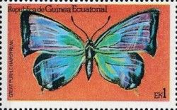 Purple Hairstreak (Neozephyrus quercus)