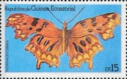 Comma Butterfly (Polygonia c-album)