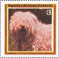 Komondor (Canis lupus familiaris)