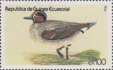Green-winged Teal (Anas crecca)