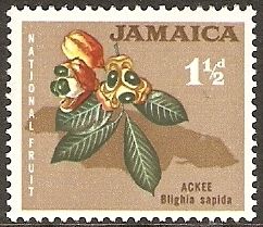 National Fruit - Ackee (Blighia sapida)