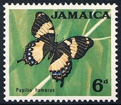 Papilio homerus