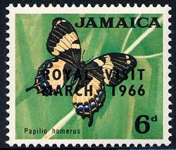 Jamaican Giant Swallowtail (Papilio homerus) - overprinted
