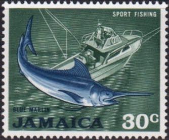 Sport Fishing - Atlantic Blue Marlin (Makaira ampla)