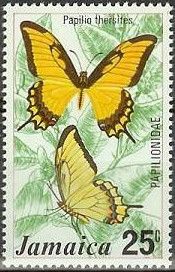 Thersites Swallowtail (Papilio thersites)