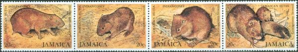 Jamaican Hutia (Geocapromys brownii)