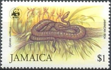 Jamaican Boa (Epicrates subflavus)