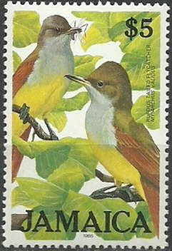 Rufous-tailed Flycatcher (Myiarchus validus)