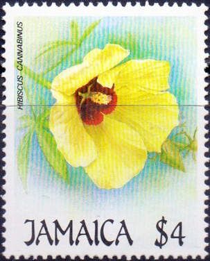 Hibiscus cannabinus