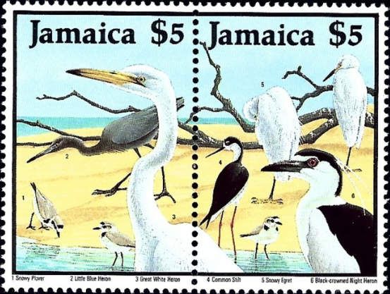 Different birds