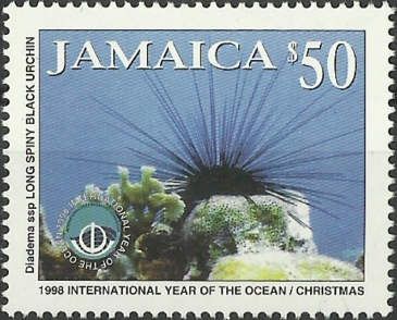 Long-spined Black Urchin (Diadema setosum)