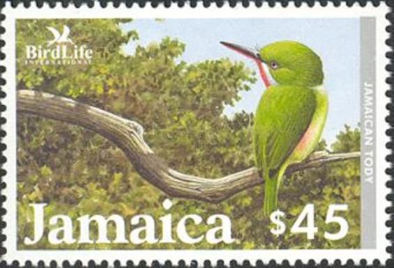Jamaican Tody (Todus todus)