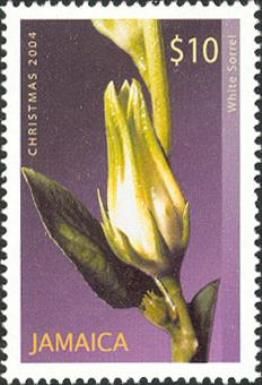 White Sorrel (Hibiscus sabdariffa)