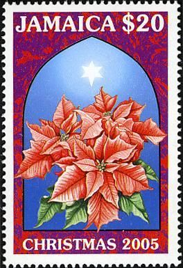 Christmas 2005