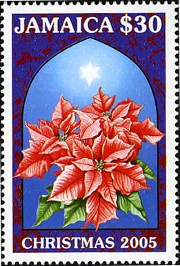 Christmas 2005