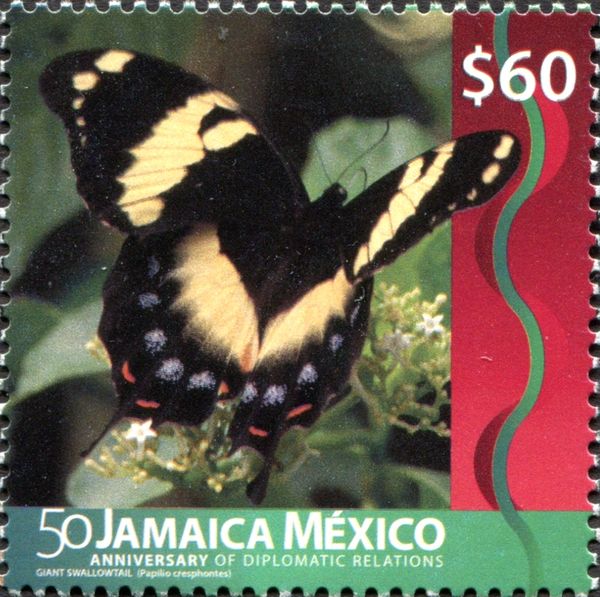 Giant Swallowtail (Papilio cresphontes)