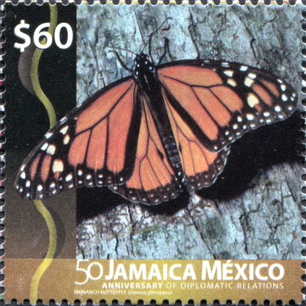 Monarch (Danaus plexippus)